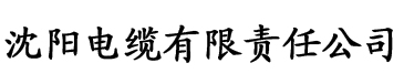 她的小xue里夹着生姜电缆厂logo